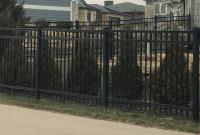 Wrought Iron Fence of Madison image 5